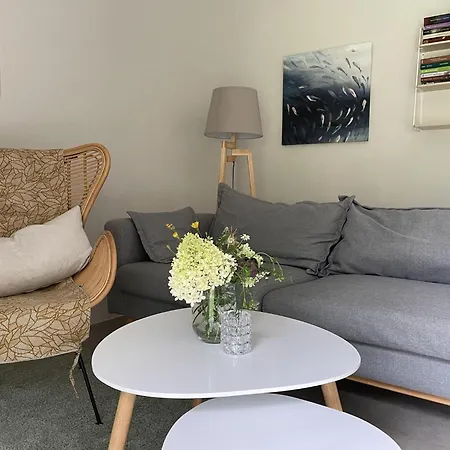 Apartment Boutique In With Garden