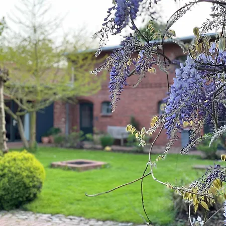 Boutique In With Garden Saal