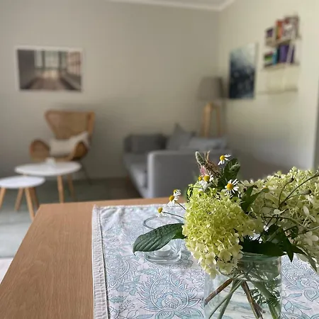 Boutique In With Garden Apartment
