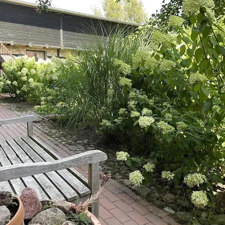 Boutique In With Garden Apartment Saal