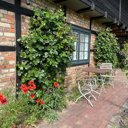 Boutique In With Garden Apartment