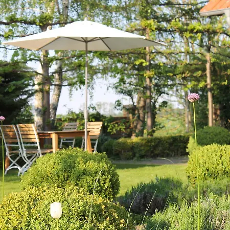 Boutique In With Garden *